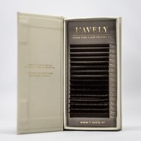 Dark brown L'Avely Mink Lashes Classic Nudes Collection