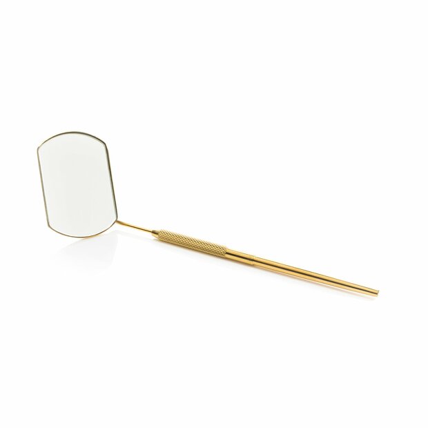 Lash mirror